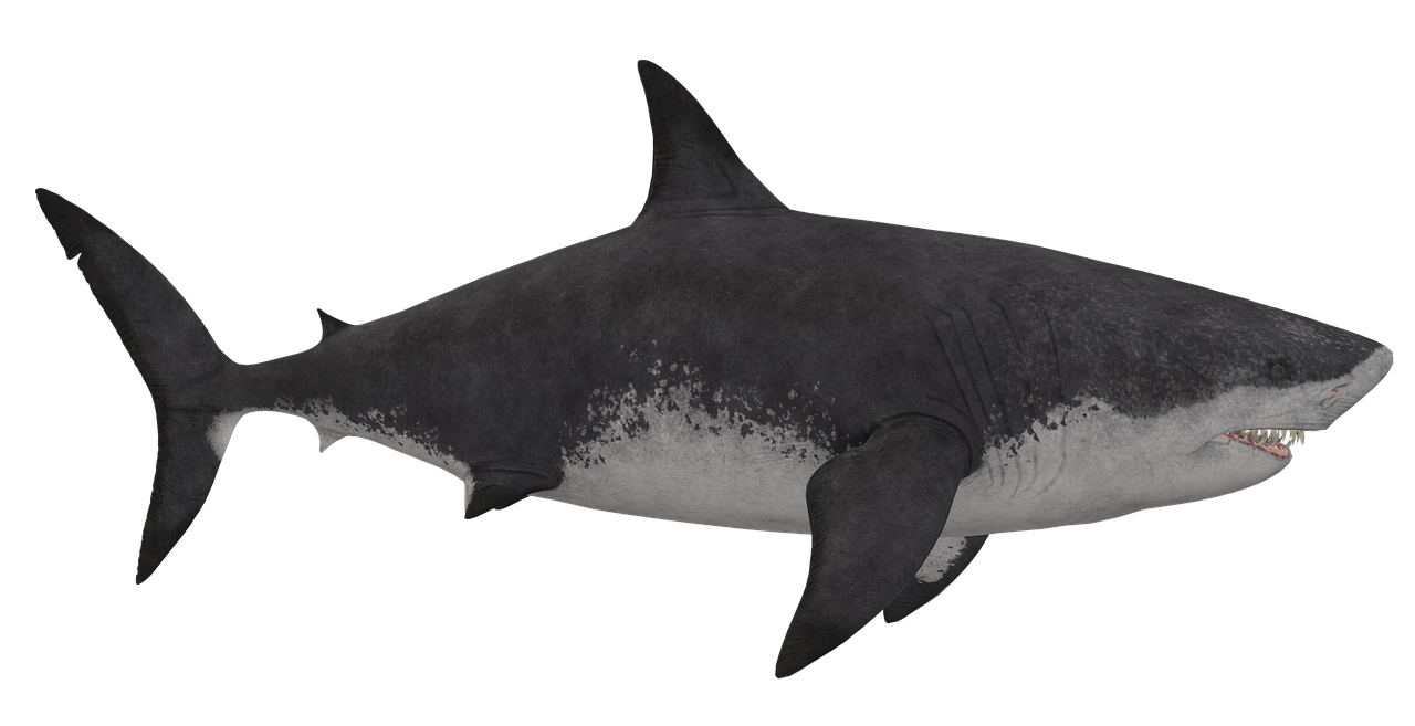 megalodon żyje
