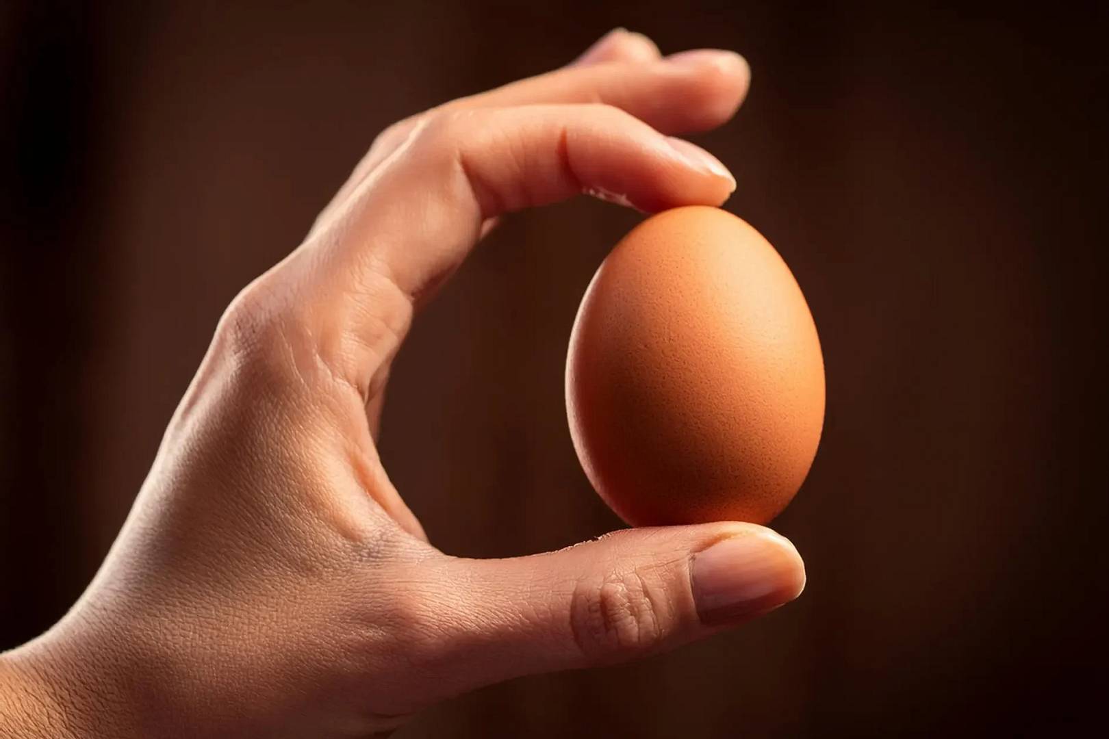 Układanie jaj w inkubatorze – jak to robić?