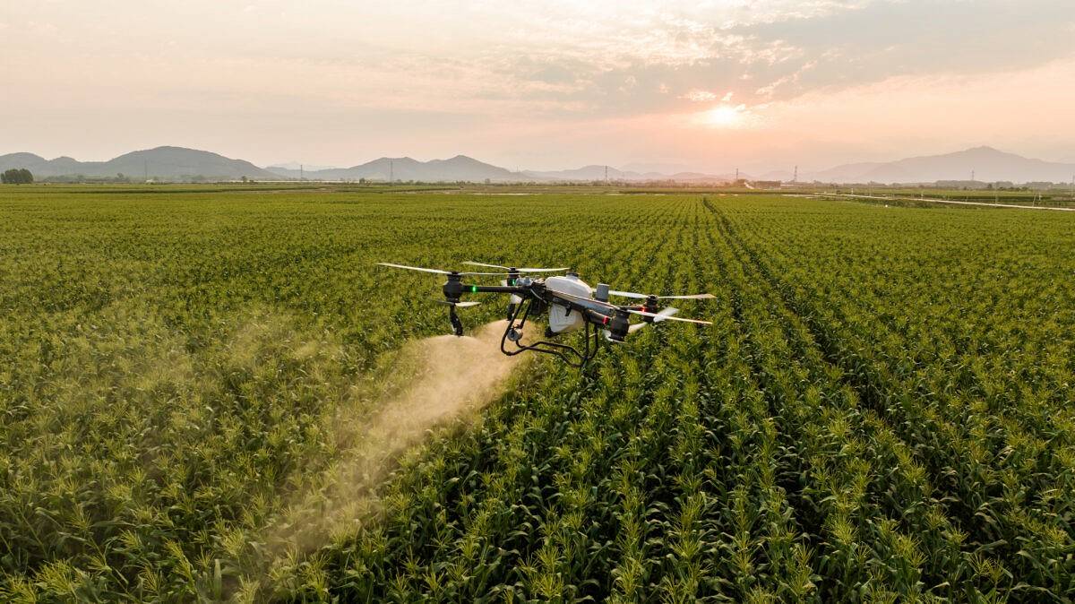 DJI Mavic 3 Multispectral – zaawansowany dron rolniczy