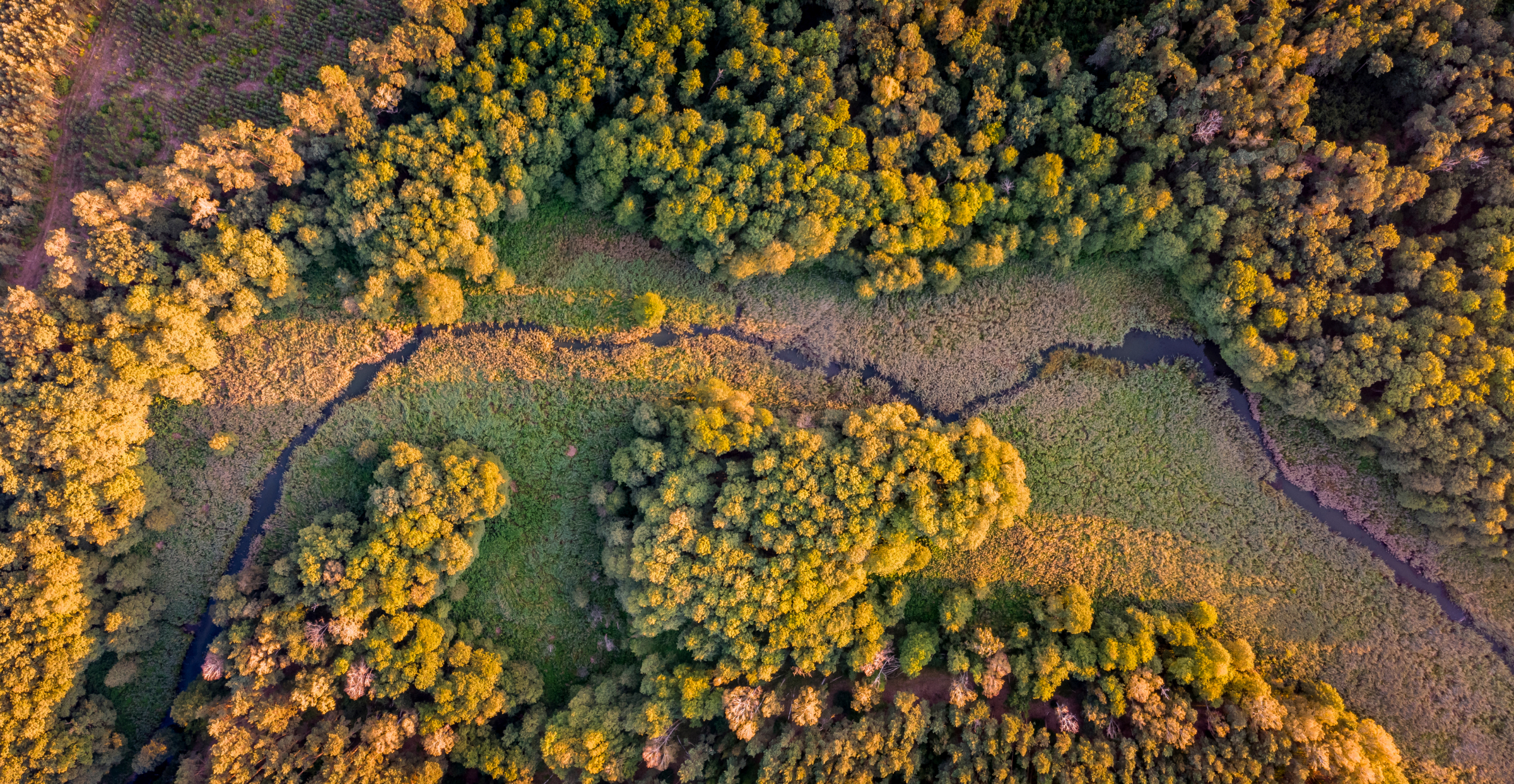 Rzeka Wełna – jeden z najpiękniejszych szlaków kajakowych w Wielkopolsce. Przewodnik po naturze, historii i spokojnej przygodzie